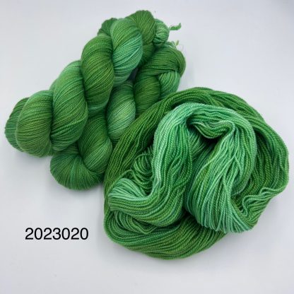 2023020 - 4 Ply Hand Dyed Sock Yarn