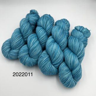 2022011 - 4 Ply Hand Dyed Sparkle Yarn - Frozen
