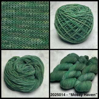2025014 - 8 Ply Hand Dyed Non Super Wash Merino Yarn - "Mossy Haven"