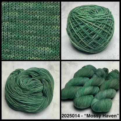 2025014 - 8 Ply Hand Dyed Non Super Wash Merino Yarn - "Mossy Haven"