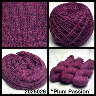 2025026 - 8 Ply Hand Dyed Non Super Wash Merino Yarn - "Plum Passion"