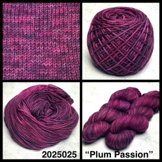 2025025 - 8 Ply Hand Dyed Machine Washable Merino Yarn - "Plum Passion"