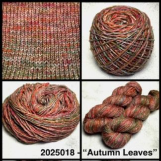 2025018 - 8 Ply Hand Dyed Machine Washable Merino Yarn - "Autumn Leaves"