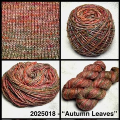 2025018 - 8 Ply Hand Dyed Machine Washable Merino Yarn - "Autumn Leaves"