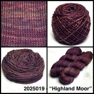 2025019 - 8 Ply Hand Dyed Machine Washable Merino Yarn - "Highland Moor"