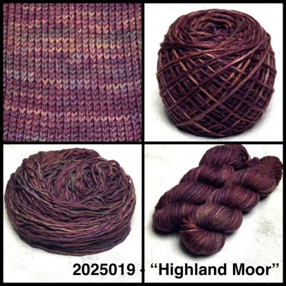 2025019 - 8 Ply Hand Dyed Machine Washable Merino Yarn - "Highland Moor"
