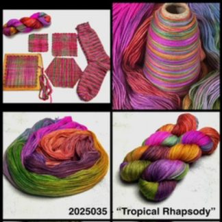 2025035 - 4 Ply Hand Dyed Sock Yarn - "Tropical Rhapsody"