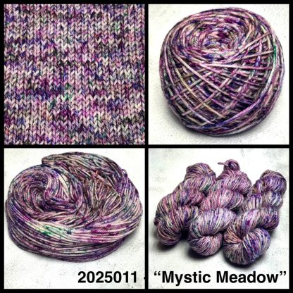2025011 - 8 Ply Hand Dyed Machine Washable Merino Yarn - "Mystic Meadow"