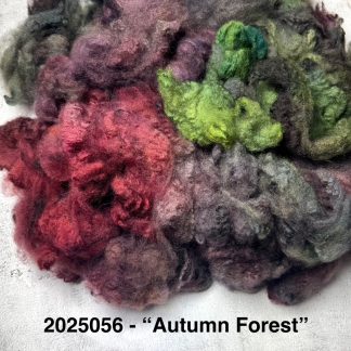 2025056 - Hand Dyed Corriedale Fleece - "Autumn Forest"