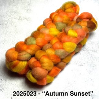 2025023 - Hand Dyed Castledale Combed Top - "Autumn Sunset"