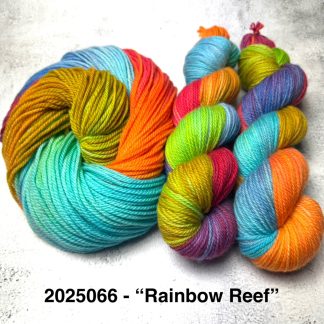 2025066 - 8 Ply Hand Dyed Sock Yarn - "Rainbow Reef"